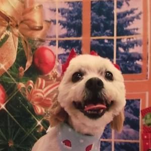 Meet your Posher, Mckynlee